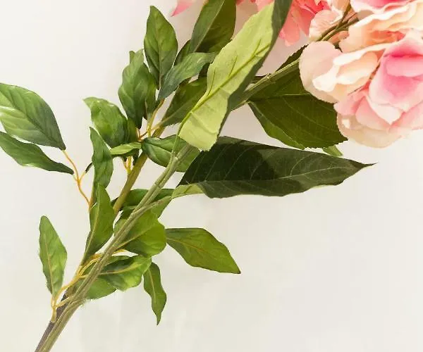 Ad'alta Apartamento Cannes