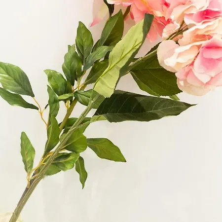 Ad'alta شقة كان